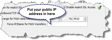 Set the FileCOPA FTP Server Software public IP address