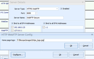https_webftp_config